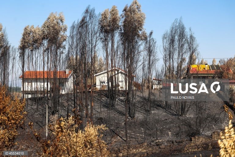 Parlamento aprova medidas de apoio e mitiga??o do impacto dos incêndios rurais