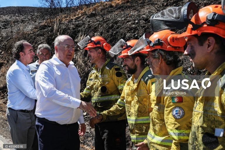 Ministro da Agricultura quer apostar na pastorícia para prevenir fogos