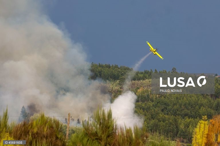 Fogo em Viseu provoca ferimentos ligeiros em quatro bombeiros