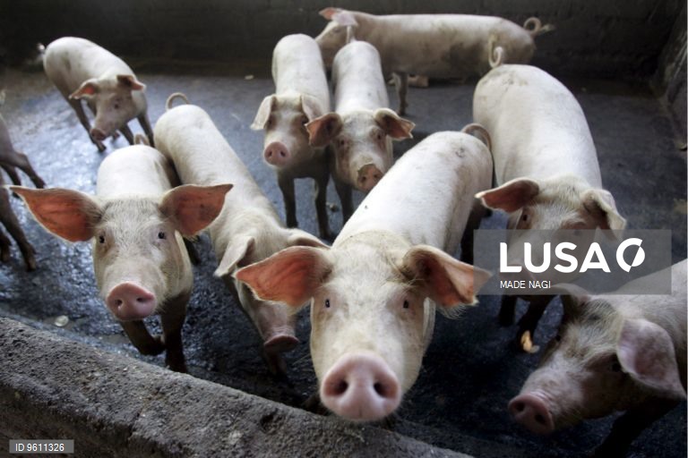 Acordo modernizado entre UE e México elimina tarifas que persistiam a produtos agroalimentares