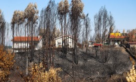 Parlamento aprova medidas de apoio e mitiga??o do impacto dos incêndios rurais